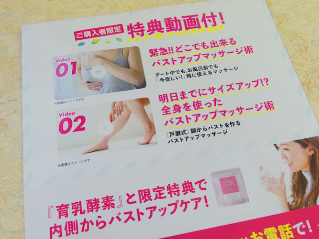 ナイトブラ 特典チラシ